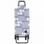 Comprar Carro Compra Paris Logos 2+2 Gris  Rolser 84180 al Mejor Precio