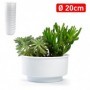 Comprar Centro Mesa Maceta 19,5 Cm Blanco  Plasticforte 35106 al Mejor Precio