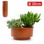 Comprar Centro Mesa Maceta 19,5 Cm Terracota  Plasticforte 35107 al Mejor Precio