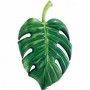Comprar Colchoneta Hoja 213X142 Cm 58782  Intex 256520 al Mejor Precio