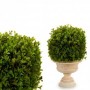 Comprar Copa Baja Planta Artificial  Ibergarden 18560 al Mejor Precio