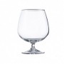 Comprar Copas Coñac 15 Cl Tensionadas Caja 12 Hostelvia 101073 al Mejor Precio