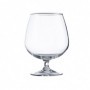 Comprar Copas Coñac 15 Cl Tensionadas Caja 12 Hostelvia 101073 al Mejor Precio