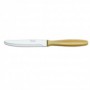 Comprar Cuchillo Postre Mango Plastico 3701  Arcos 63034 al Mejor Precio