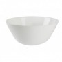 Comprar Ensaladera Zelie 24 Cm  Arcopal 1306 al Mejor Precio