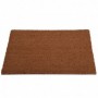 Comprar Felpudo Coco Liso 40X60 Cm  Importacion 22039 al Mejor Precio