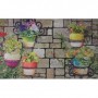 Comprar Felpudo Plantas 45X75 Cm  Dintex 22016 al Mejor Precio