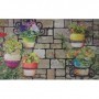 Comprar Felpudo Plantas 45X75 Cm  Dintex 22016 al Mejor Precio