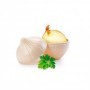 Comprar Guarda Cebollas 10,5X10,5X11,5 Cm  Plasticforte 35132 al Mejor Precio