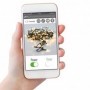 Comprar Guirnalda 240 Led 24 M Blanca App  Importacion 324087 al Mejor Precio