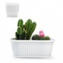Comprar Jardinera 25X12,5X9,5 Cm Blanca Sin Plato  Plasticforte 35026 al Mejor Precio