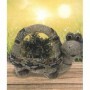 Comprar Macetero Asa Tortuga 38X23X27 Cm  Importacion 144075 al Mejor Precio