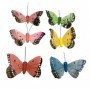 Comprar Mariposas Con Iman Pastico 19/1900 Lote 6 Importacion 18522 al Mejor Precio