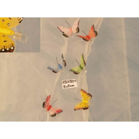 Comprar Mariposas Pinza 19/1901 Lote 6 Importacion 18531 al Mejor Precio