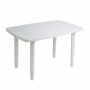 Comprar Mesa Resina 140X90 Cm Blanca 4022  Garden Life 206562 al Mejor Precio