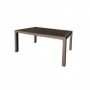 Comprar Mesa Resina 150X90Cm Wengue 4090/08  Garden Life 206362 al Mejor Precio