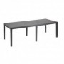Comprar Mesa Resina Queen 220X90 Cm Antracita  Progarden 206330 al Mejor Precio