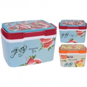 Comprar Nevera Decorada 5L Surtida  Importacion 228160 al Mejor Precio