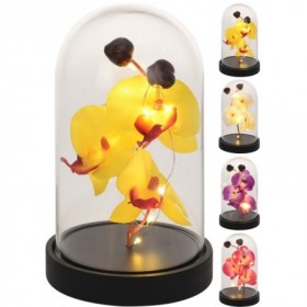 Comprar Orquidea Cupula Led Pilas 10X20 Cm  Importacion 143086 al Mejor Precio