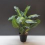 Comprar Planta Artificial Filodendro 45 Cm  Importacion 18515 al Mejor Precio