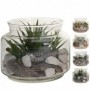 Comprar Planta Artificial Tarro Vidrio 16X13,5 Cm  Importacion 18540 al Mejor Precio