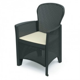 Comprar Sillon + Cojin Folia Antracita  Progarden 206333 al Mejor Precio
