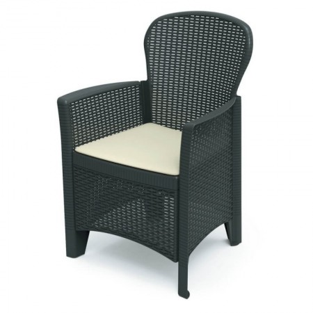 Comprar Sillon + Cojin Folia Antracita  Progarden 206333 al Mejor Precio