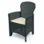 Comprar Sillon + Cojin Folia Antracita  Progarden 206333 al Mejor Precio