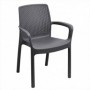 Comprar Sillon Regina Antracita  Progarden 206347 al Mejor Precio