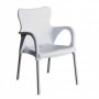Comprar Sillon Resina Aluminio Blanco 8306Al/1  Garden Life 206315 al Mejor Precio