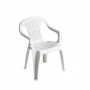 Comprar Sillon Resina Blanco 8103  Garden Life 206268 al Mejor Precio