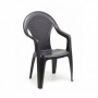 Comprar Sillon Resina Giglio Antracita  Progarden 206367 al Mejor Precio