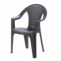 Comprar Sillon Resina Ischia Antracita  Progarden 206298 al Mejor Precio
