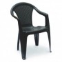 Comprar Sillon Resina Kora Antracita  Progarden 206393 al Mejor Precio