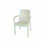 Comprar Sillon Resina Marfil 8290/09  Garden Life 206365 al Mejor Precio
