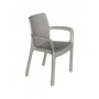 Comprar Sillon Resina Taupe 8290/02  Garden Life 206521 al Mejor Precio