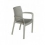 Comprar Sillon Resina Taupe 8290/02  Garden Life 206521 al Mejor Precio