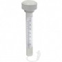 Comprar Termometro Piscina 58072  Bestway 256539 al Mejor Precio