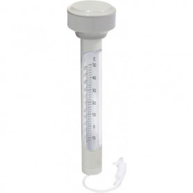 Comprar Termometro Piscina 58072  Bestway 256539 al Mejor Precio