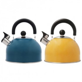 Comprar Tetera Inoxidable Astral 2L Surtida  Quid 1602 al Mejor Precio