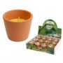 Comprar Vela Terracota Citronela 7 Cm  Citronella 25004 al Mejor Precio