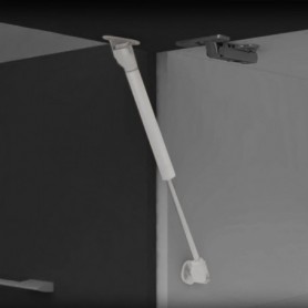 Comprar Pistón a gas para puertas elevables fuerza 5 kg recorrido 100 mm con enganches Gris metalizado 10 ud. al Mejor Precio