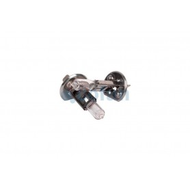 ▷ Bombilla H1 12V | Ferreidea