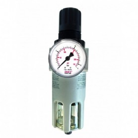 Comprar Regulador Presion Manometro Y Filtro Cevik Pro Ca-940-12 al Mejor Precio