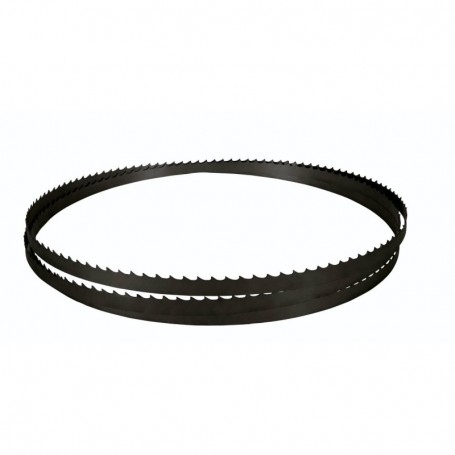 Comprar Cinta Bimetalica 1425X6.35X0.3 Z6 Scheppach Sc-Hbs30X-6 al Mejor Precio