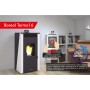 Comprar Termoestufa Pellets Boreal Termo16 al Mejor Precio