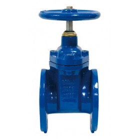 Comprar  Valvula Compuerta Sei Bridas Dn50 AA01121 al Mejor Precio