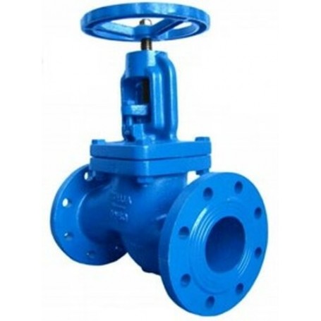 Comprar  Valvula Asiento Bridas Dn150 AA02141 al Mejor Precio