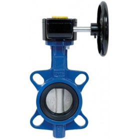 Comprar  Valvula Mariposa Sei Fe / Fe / N 5" C/ Reductor AA04136 al Mejor Precio