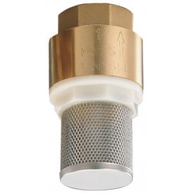 Comprar  Valvula Pie Sei 2-1/2" AA06047 al Mejor Precio